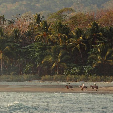 Hotel Santa Teresa By The Beach Playa Santa Teresa  エクステリア 写真