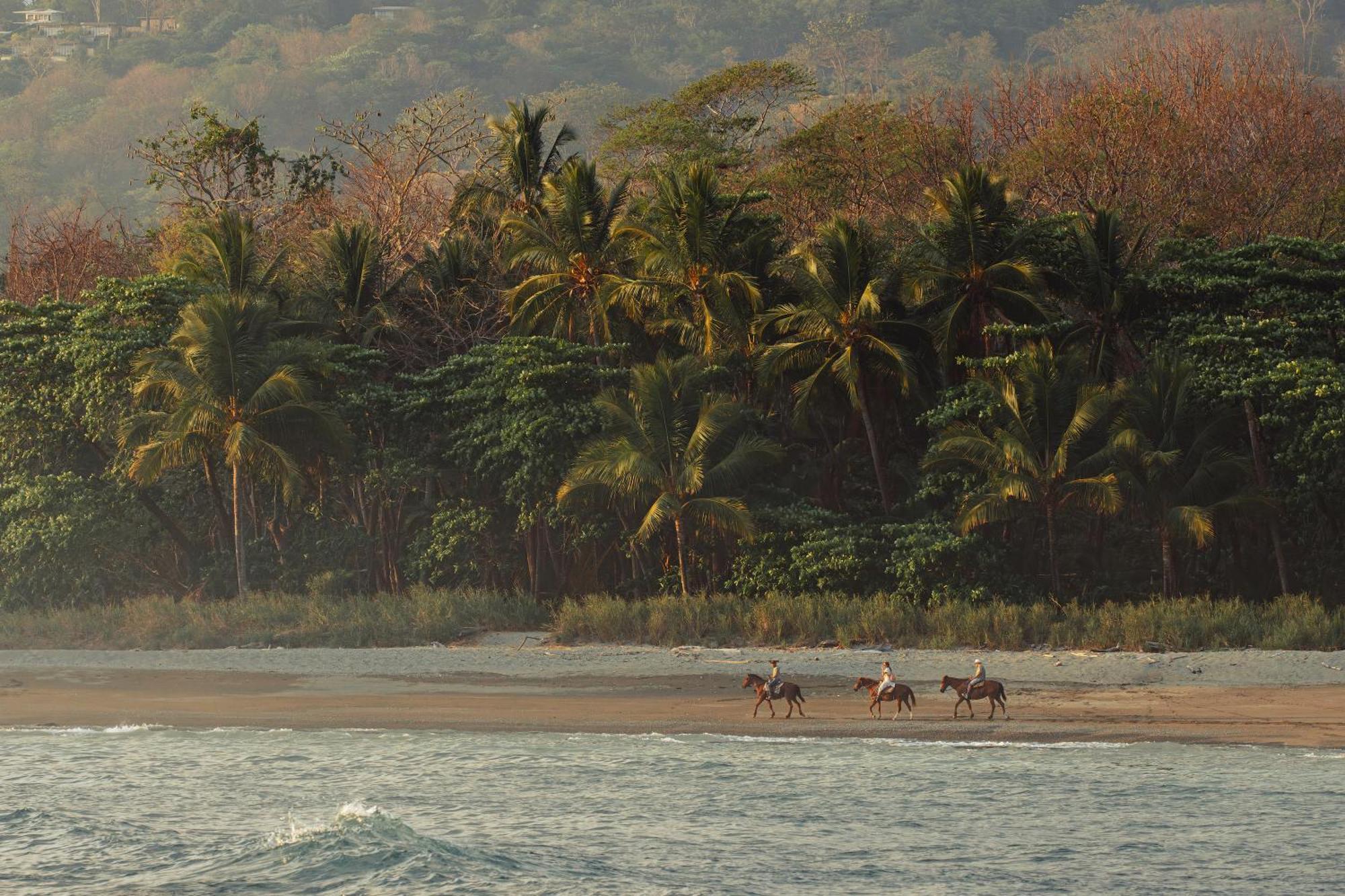 Hotel Santa Teresa By The Beach Playa Santa Teresa  エクステリア 写真